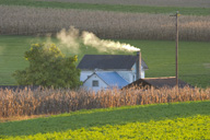 farm